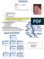 22 Blood Supply of The Ear - Done