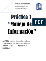 Práctica 1 - MANEJO DE INFORMACION