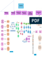 Mapa 2 de Derecho Tributario