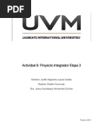 Proyecto Integrador Etapa 3, Diseño Curricular UVM