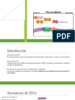 Exposicion Del Operon de Lactosa Eq.7