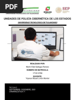 Unidades de Policía Cibernetica