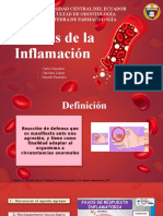 Células de La Inflamación - Grupo 7