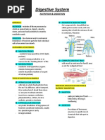 Digestive System