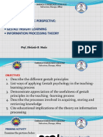 Lesson 9 Learning Cognitive Perspective