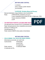 Metabolismo Central y Fermentación 2015