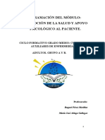 Cae Adultos Promoción de La Salud y Apoyo Psicológico Al Paciente