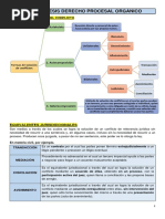 Derecho Procesal Resumen Final