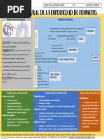 Historia Natural Meningitis