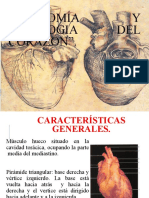 Anatomía de Corazón