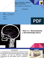 Neuroanatomia y Neurofisiologia