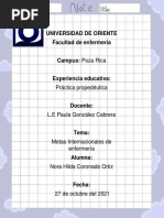 Metas Internacionales de Enfermería