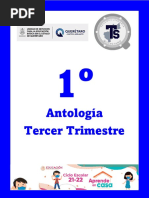 Antologia Primer Grado Trim III VF