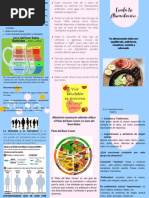 Triptico Del Plato Del Buen Comer