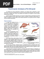 Panarthropoda - Introdução Aos Arthropoda