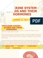 Endocrine System Group 1