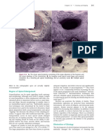 Endodontics Principles and Practice (280 429)