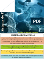 Clase 3. Sistema de Palancas y VM