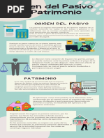 Origen Del Pasivo y Patrimonio