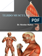 T #35 Tejido Muscular