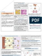 Apunte Patología Tiroidea