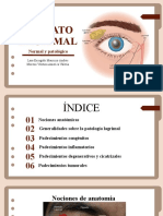 Patologia Del Aparato Lagrimal