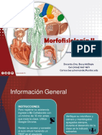 Sistema de Evaluacion MF2 - Q4 2021