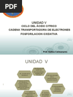 Unidad V Ciclo de Krebs