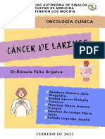 Cáncer de Laringe. Equipo #8.