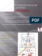 Key Concepts: Developed by John Gallagher, MS, DVM