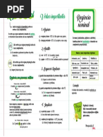 Mapa Mental Português 13 