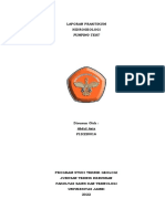 Laporan Hidrogeologi 5 Dindaw