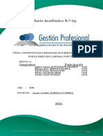 Producto Academico Nro. 03 - Gestión Profesional