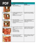 Musculos Velopalatinos y Faringeos