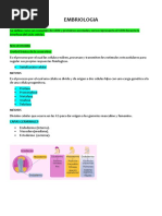 Documento 7