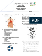 Ciencias Naturales 4°