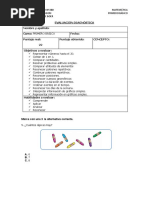 Ev. Diagnostica 1° Matemática