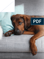 TVP-2020-0304 Acute Pancreatitis