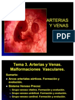 Arterias y Venas Embriologia II