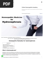 Homeopathic Remedies For Hydronephrosis - Homeo Expert