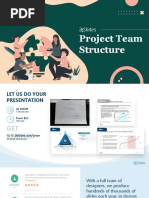 Project Team Structure - Playful