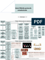 Prótesis Hibrida Protocolo Estandarizado