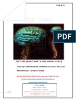 L2-Anatomy of Spinal Cord