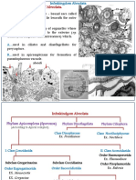 General Characteristics of Alveolata