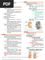 AUBF Lec Renal Function I PDF