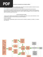 La Naturaleza y El Propósito de La Estrategias y Políticas