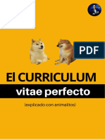 El Mejor CV Según Expertos