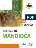 Cultivo de La Mandioca