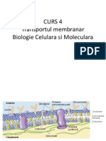 Curs 4 TRANSPORT