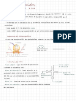 Biología Apuntes